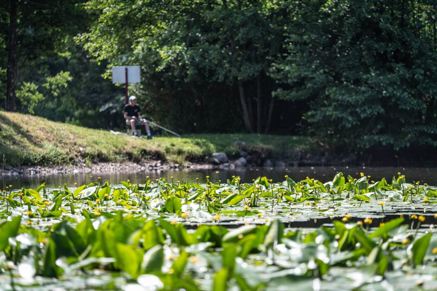Parcours pêche en famille à Bussang