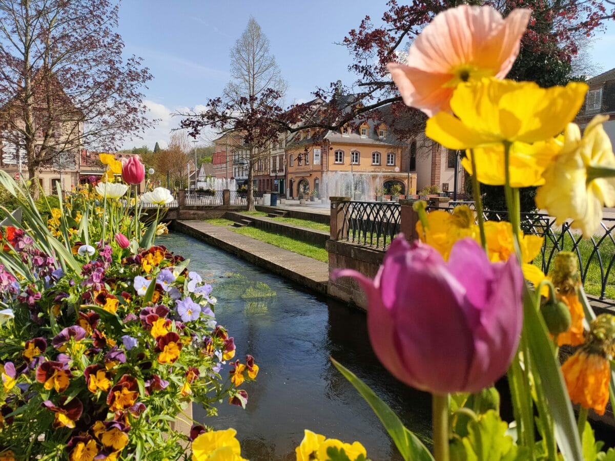 Paysage et fleurs au fil de l'eau ©Sabine Loulou | Ville de Niederbronn-les-Bains