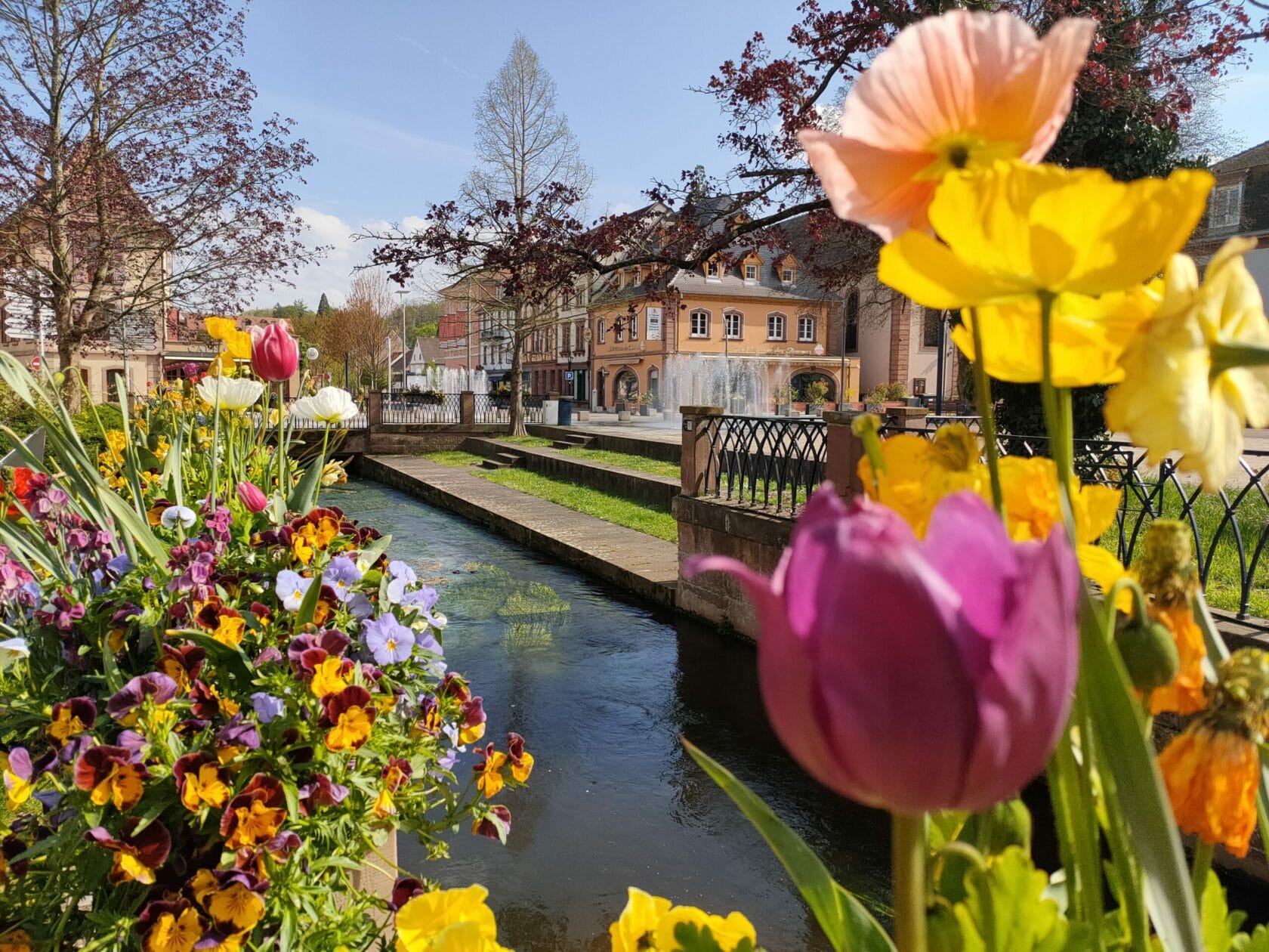 Paysage et fleurs au fil de l'eau ©Sabine Loulou | Ville de Niederbronn-les-Bains