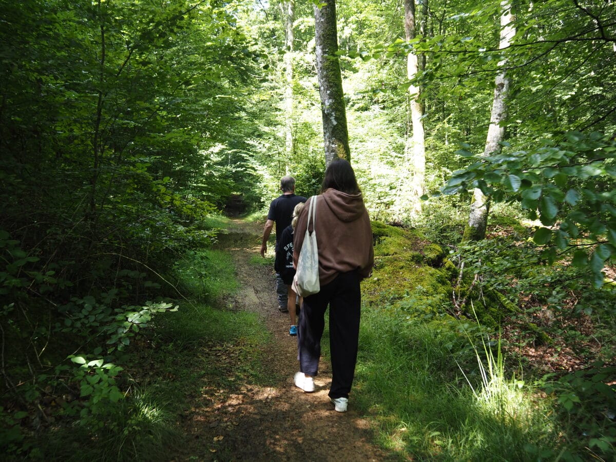 Balade en forêt domaniale @Office de Tourisme des Forêts du Perche